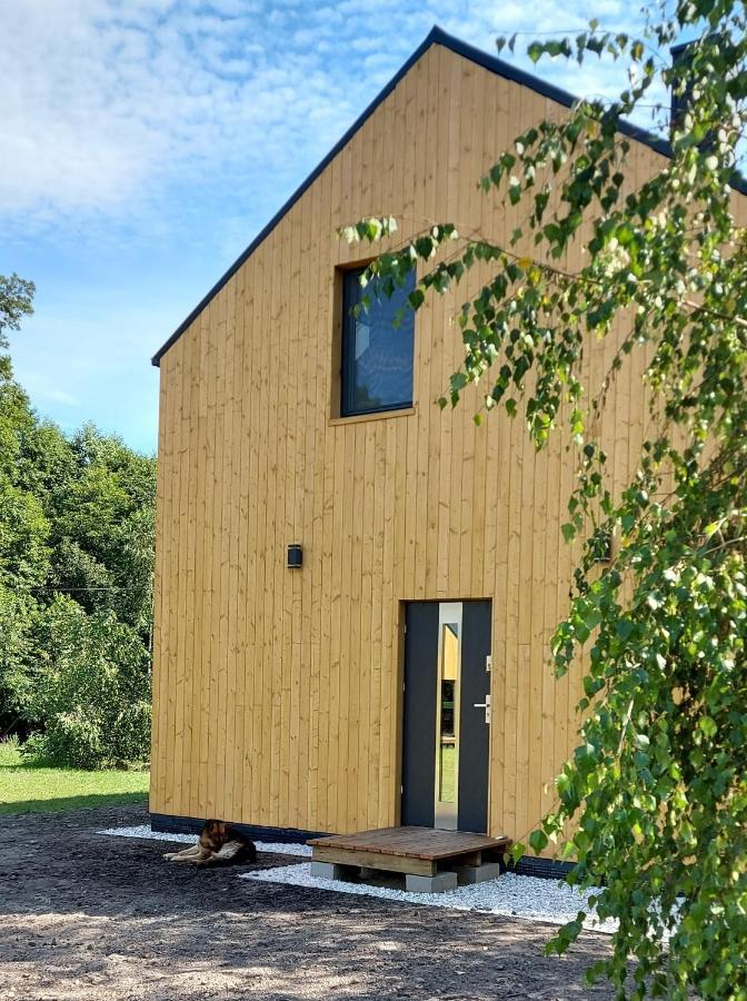 Ferienhaus Dom Przy Lesie